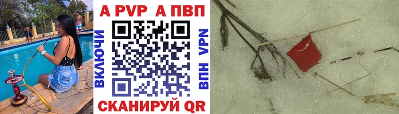 Alpha PVP СК KRAKEN рабочий сайт Гаджиево