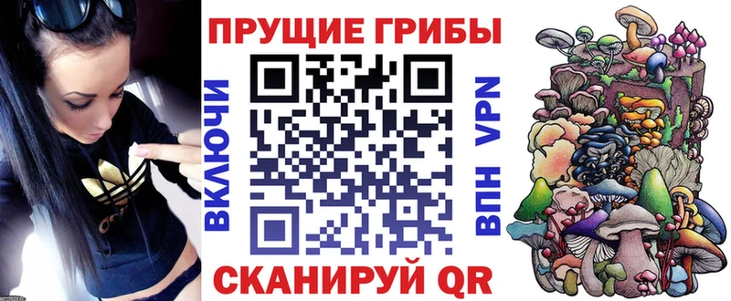 Псилоцибиновые грибы мухоморы  сайты даркнета наркотические препараты  Гаджиево 